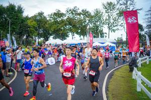 BIB: 
                            <button type="button" onclick="openModal(26550267)" class="btn btn-primary btn-sm float-right btn-popup" data-toggle="modal" data-target=".modal-high-quality">
                        <i class="fas fa-shopping-cart"></i> Add to Cart
                    </button>
                                            <button type="button" onclick="isThisMe(26550267, true)" class="btn btn-success btn-sm float-right btn-popup btn-isme hidden" data-toggle="tooltip" data-placement="bottom" title="นี่คือรูปของคุณใช่ไหม คลิกที่นี่เพื่อเอาเข้าอัลบั้ม">
                        <i class="fas fa-plus"></i> Add to album
                    </button>
                    <button type="button" onclick="isThisMe(26550267, false)" class="btn btn-warning btn-sm float-right btn-popup btn-isnotme hidden">
                        <i class="fas fa-ban"></i> Remove from album
                    </button>